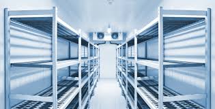 Advanced Cold Chain Infrastructure for Quality Preservation